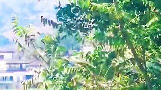 1510,status,status video,status song,status whatsap,beast song,good song,video,natural