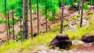 status,status video,status song,status whatsap,beast song,good song,video,natural