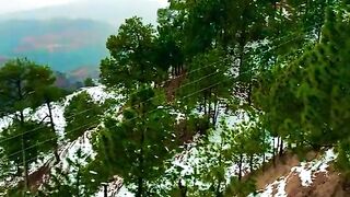 1520,status,status video,status song,status whatsap,beast song,good song,video,natural