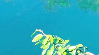 status,status video,status song,status whatsap,beast song,good song,video,natural