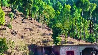 status,status video,status song,status whatsap,beast song,good song,video,natural