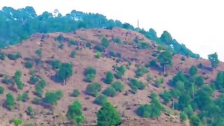 1530,status,status video,status song,status whatsap,beast song,good song,video,natural