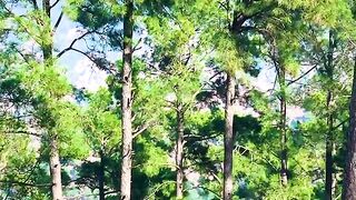 status,status video,status song,status whatsap,beast song,good song,video,natural