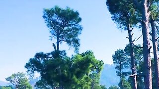 status,status video,status song,status whatsap,beast song,good song,video,natural