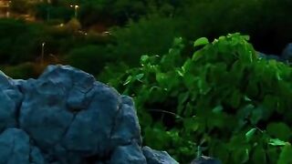 Beautiful status video 3