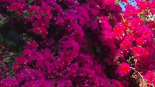 status,status video,status song,status whatsap,beast song,good song,video,natural