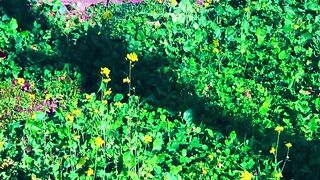 status,status video,status song,status whatsap,beast song,good song,video,natural