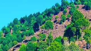 1550,status,status video,status song,status whatsap,beast song,good song,video,natural