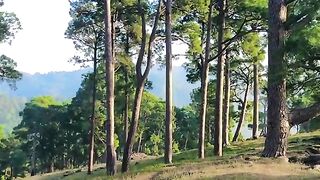 status,status video,status song,status whatsap,beast song,good song,video,natural