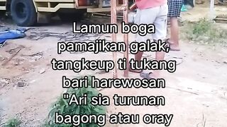 ayam broiler || kata kata lucu 612