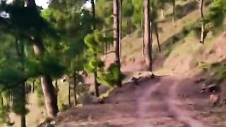 status,status video,status song,status whatsap,beast song,good song,video,natural