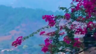 status,status video,status song,status whatsap,beast song,good song,video,natural