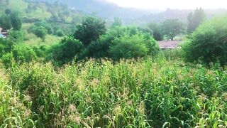 status,status video,status song,status whatsap,beast song,good song,video,natural