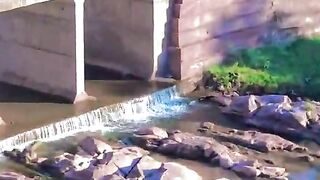 status,status video,status song,status whatsap,beast song,good song,video,natural