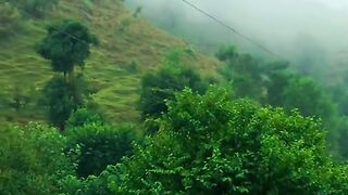 1580,status,status video,status song,status whatsap,beast song,good song,video,natural