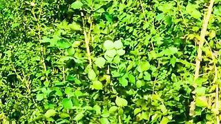 status,status video,status song,status whatsap,beast song,good song,video,natural