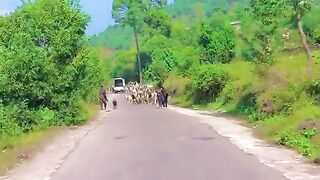 status,status video,status song,status whatsap,beast song,good song,video,natural
