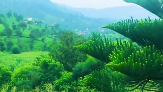 status,status video,status song,status whatsap,beast song,good song,video,natural