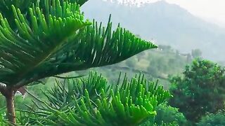 status,status video,status song,status whatsap,beast song,good song,video,natural