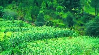 status,status video,status song,status whatsap,beast song,good song,video,natural