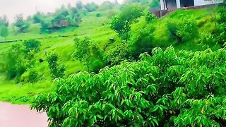 status,status video,status song,status whatsap,beast song,good song,video,natural