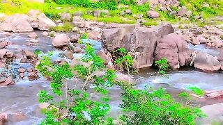 status,status video,status song,status whatsap,beast song,good song,video,natural
