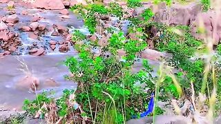 status,status video,status song,status whatsap,beast song,good song,video,natural