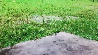 1600,status,status video,status song,status whatsap,beast song,good song,video,natural