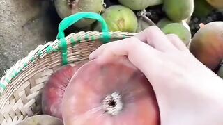 # fruit  vedio# febsport viral vedio
