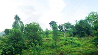 status,status video,status song,status whatsap,beast song,good song,video,natural
