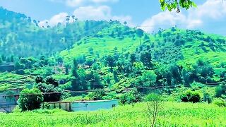 status,status video,status song,status whatsap,beast song,good song,video,natural