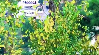 status,status video,status song,status whatsap,beast song,good song,video,natural