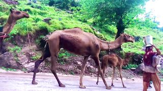 status,status video,status song,status whatsap,beast song,good song,video,natural