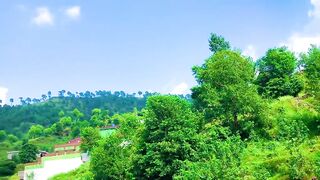 status,status video,status song,status whatsap,beast song,good song,video,natural