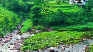 status,status video,status song,status whatsap,beast song,good song,video,natural