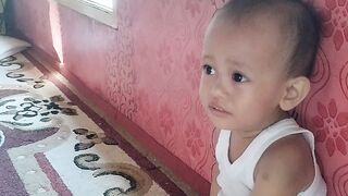 Kucing Ibo