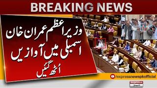 Prime Minister Imran Khan PTI Members Punjab Assembly Protest