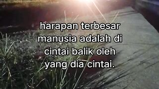 ayam broiler || kata kata lucu 616