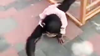 Monkey and tiger