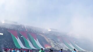 full video 264