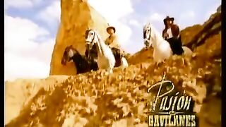 Primer capitulo pasion de gavilanes