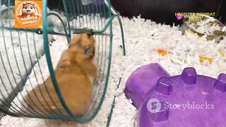 Combat Hamsters: The Future of Gaming & DeFi!