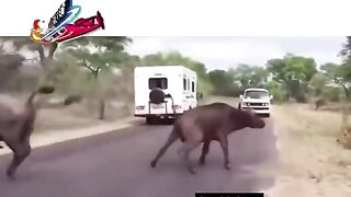زندگی وہاں شروع ہوتی ہے جہاں خوف ختم ہوتا ہے