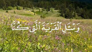 تلاوات من سورة يوسف  لا تنسوا الأشتراك في القناة و شكرا