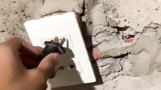 the real useless life