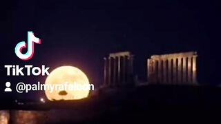 مملكة تدمر 4