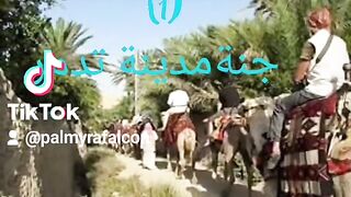 جنة مدينة تدمر