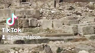 اوغاربت