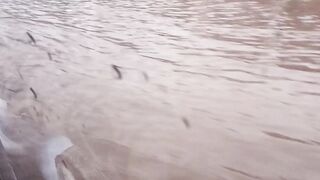 To much water at rode