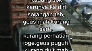 ayam broiler || kata kata lucu 621